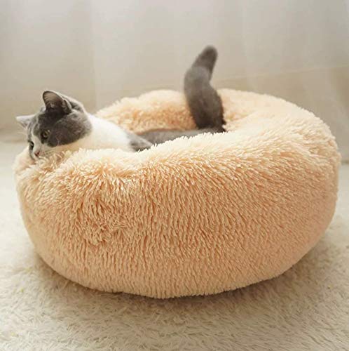 Katzenbett Weich Kissen Betten für Katzen,Warm Plüsch Runden Katze Schlafen Bett Kleine Hund Bett Haustierbett katzenkorb Katzensofa in Doughnut-Form-Yellow von KongEU