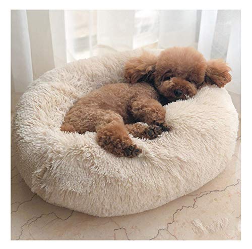 KongEU Gemütlich Hundebett Katzenbett mit kuscheligem Plüschen Dicke Füllung,Hundesofa Hundekorb waschbar mit Hundekissen Flauschig Weich Rundes Haustierbett Nisthöhle-50cm-Beige von KongEU