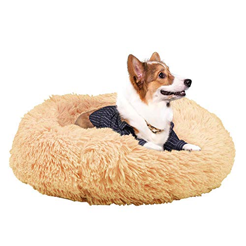 Lovely Donut Hundebett / Katzensofa, warm, weich, für Welpen, Kätzchen, beruhigendes Bett mit waschbarem, abnehmbarem Bezug, verbesserter Schlaf, Aprikose, 40 cm von KongEU