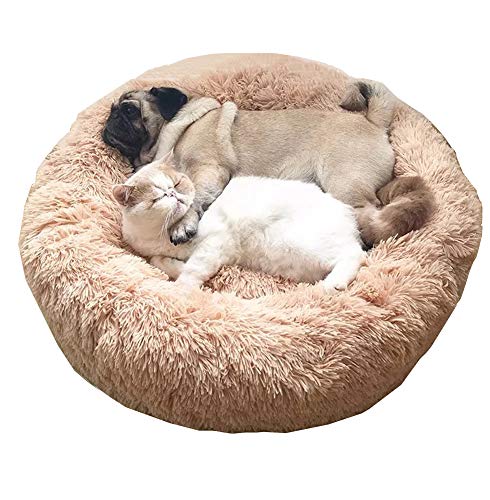 Orthopädisches großes Hundebett, dick gepolstertes, rutschfestes, rundes Hundekissen mit wasserdichter Unterseite, weich und warm, Haustierbett für 2 Hunde oder mehr, XXL, 110 cm, Beige von KongEU