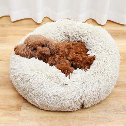 Snug Weich Hundebett,Donutbett,Haustierbett für Katzen und kleine mittelgroße Hunde,kuschelig mit weichem Kissen,rund oder oval Donut Nisthöhle,Waschbar-M(70 * 70 * 20cm)-Beige von KongEU