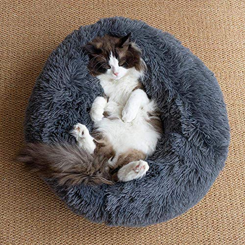 Warme Plüsch Katzenkissen,Hundebetten Plüsch Katzenbett Waschbar Haustierbett in Doughnut-Form Hundesofa Katzensofa Schlafplatz für Kleine,Mittelgroße,große Katzen Hund-M-60cm-Dunkelgrau von KongEU