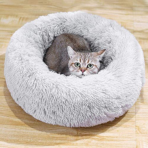 Warme Plüsch Katzenkissen,Hundebetten Plüsch Katzenbett Waschbar Haustierbett in Doughnut-Form Hundesofa Katzensofa Schlafplatz für Kleine,Mittelgroße,große Katzen Hund-M-60cm-Hellgrau von KongEU