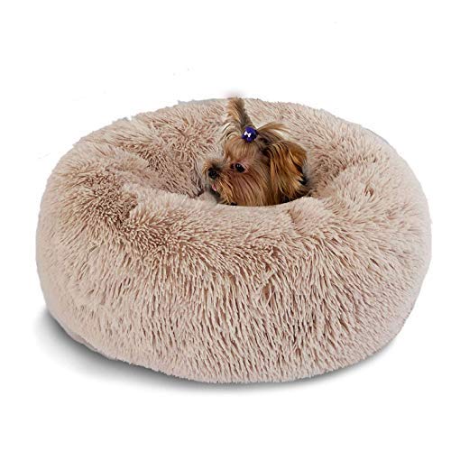 Weich Warm Langes Plüsch Haustierbett,Rund Bett in Donut Form für kleine und mittelgroße Hunde Katzen,Kennel waschbares Wasserfestes Hundekissen hundehütte Katzenbett Tierbett-50cm-Braun von KongEU