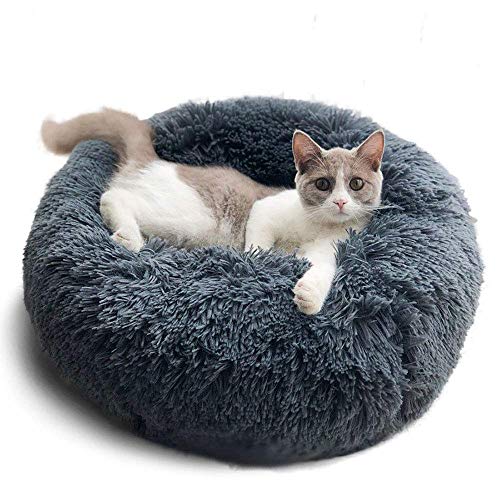 Weich Warm Langes Plüsch Haustierbett,Rund Bett in Donut Form für kleine und mittelgroße Hunde Katzen,Kennel waschbares Wasserfestes Hundekissen hundehütte Katzenbett Tierbett-50cm-Grau von KongEU