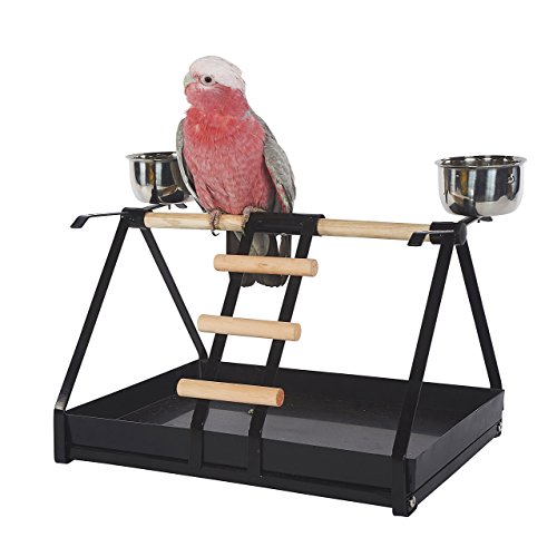 Koolaburra Kookaburra Käfige Parrot Play Ständer mit Futterspendern – Für Graupapageien Amazon Kakadus etc. von Koolaburra