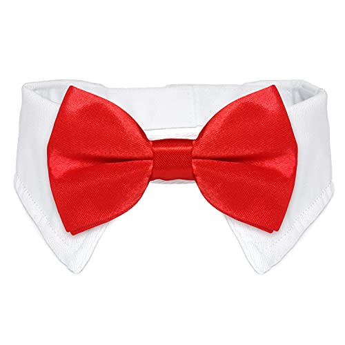 Koolmox Hundehalsband, rote Fliege, weißes Hundehalsband mit schwarzer Fliege, klassische Krawatte für kleine mittelgroße Hunde Katzen Welpen Valentinstag Kostüme von Koolmox