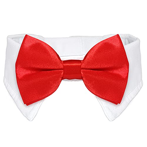 Koolmox Katzen-Smoking-Halsband, rote Fliege mit handgefertigtem, verstellbarem Anzug, weißes Halsband, formelle Welpen-Fliege für kleine Jungen, Mädchen, Haustiere, Fotografie, Pflege-Schleifen von Koolmox