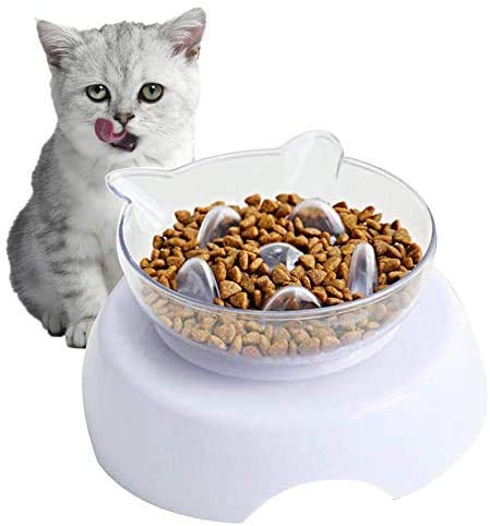 Koomiao Futternapf Katze,Erhöht Fressnapf Katze Mit Erhöhtem Ständer Cat Bowl rutschfest 15 ° Geneigt Reduzieren Sie Nackenschmerzen von Koomiao