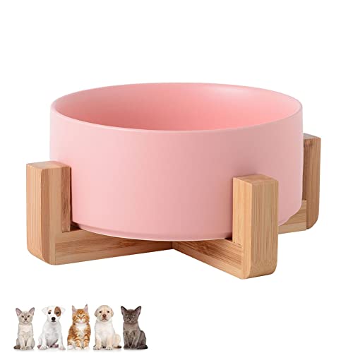 Koomiao Futternapf Katze mit Halter, Keramik Fressnapf Katze,Katzennapf Erhöht mit und Rutschfesten Füßen Geeignet Kleine Mittelgroße Katzen und Hunde (Single Bowl-Rosa) von Koomiao