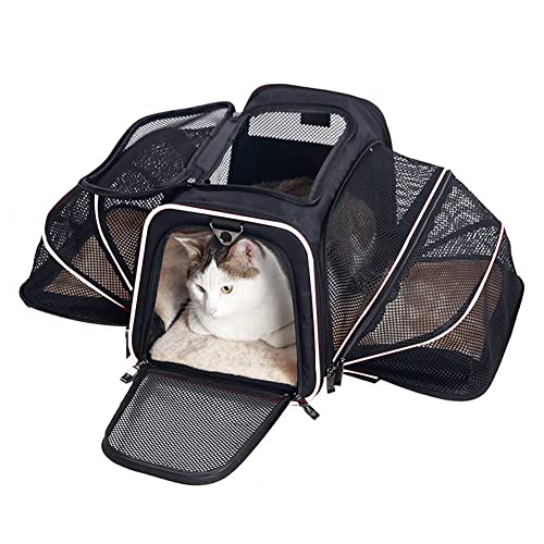 Koomuao Katzentransportbox faltbar,Tragetasche für Katze und Kleine Hunde Transporttasche,Katzentransportkäfig für Mitte Kleine Hunde Katzen (L(46x28x28) cm, Schwarz-2) von Koomuao