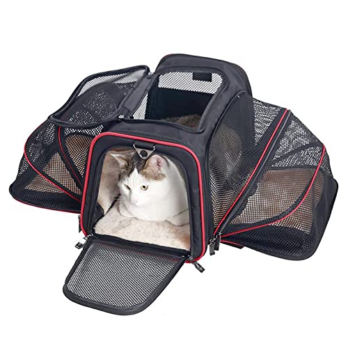 Koomuao Katzentransportbox faltbar,Tragetasche für Katze und Kleine Hunde Transporttasche,Katzentransportkäfig für Mitte Kleine Hunde Katzen (S(40x25x25cm), Schwarz-1) von Koomuao