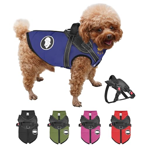 RarSSA Hundemantel mit Abnehmbarem Geschirr, Wasserdichter Warmer Hundemantel für Kleine Mittlere Große Hunde, Reflektierende Hund Winterjacke Hundekleidung für Teddy Chihuahua von KorJoee