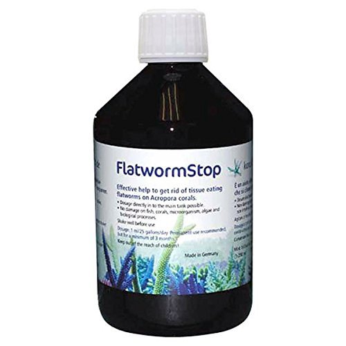 Korallen-Zucht Flatworm Stop - 500 ml by Korallen-Zucht von Korallen-Zucht