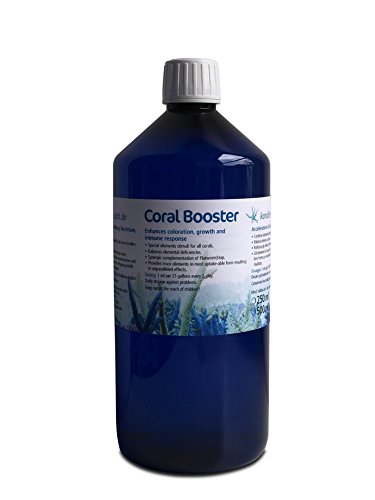 Korallenzucht.de Coral Booster, 1er Pack (1 x 500 ml) von Korallenzucht.de