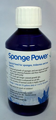 Korallenzucht.de Sponge Power Concentrate, 1er Pack (1 x 10 ml) von Korallenzucht.de