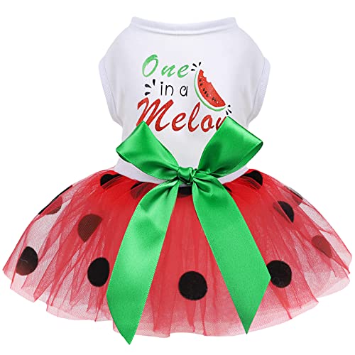 Hundekleid für Kleine Mittlere Hunde Mädchen Wassermelone Polka Dots Mesh Kleid Hundeoutfit Sommer Tutu Hundekleider Katzenbekleidung Niedliche Haustier Welpen Kleidung Doggie Outfits, Rot, Groß von Kosiyi