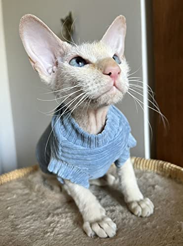 Kotomoda Katzen-T-Shirt, Cord, fьr Sphynx und nackte Katzen, Grцяe XS, Blau von Kotomoda