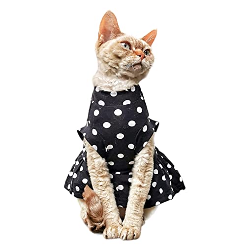 Kotomoda Katzen Kleid Polka-Dot Sphynx Katzen (M) von Kotomoda