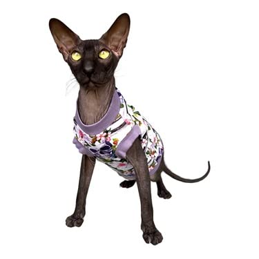 Kotomoda Katzen-T-Shirt, lila Schдdel, fьr Sphynx und nackte Katzen, Grцяe XL von Kotomoda