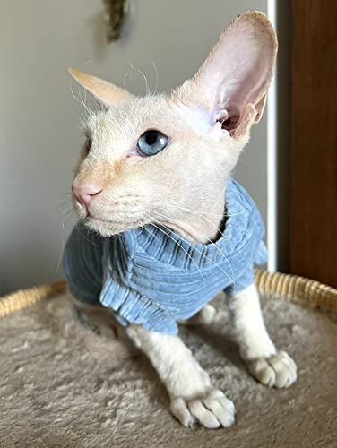 Kotomoda Katzen-T-Shirt aus Cord fьr Sphynx und nackte Katzen, groя, blau von Kotomoda