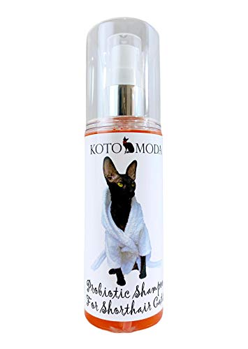 Kotomoda Probiotisches Shampoo für Kurzhaarkatzen 120 ml Cornish Rex, Oriental, Devon Rex Katze Shampoo von Kotomoda