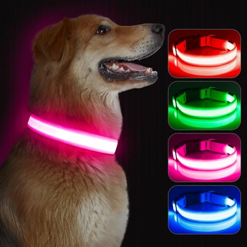 Kpuplol Leuchthalsband Hund, Hundehalsband Leuchtend, Wiederaufladbar Hundehalsband Leuchtend LED Halsband für Hunde Einstellbare Größe, 3 Beleuchtungsmodi für Kleine Mittlere Große Hunde von Kpuplol