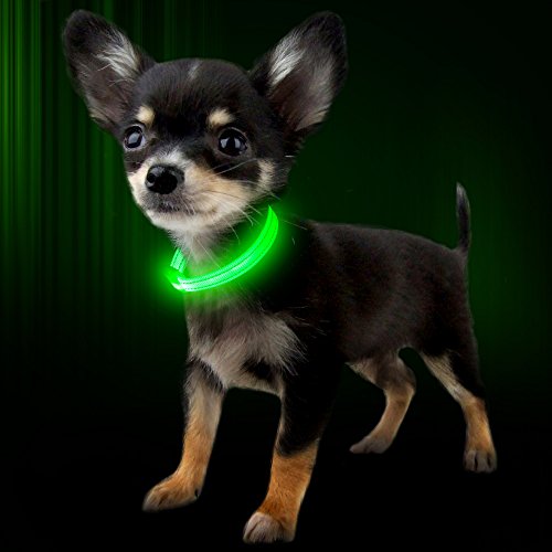 Kpuplol Leuchthalsband Hund, Hundehalsband Leuchtend, Wiederaufladbar Hundehalsband Leuchtend LED Halsband für Hunde Einstellbare Größe, 2 Beleuchtungsmodi für Kleine Mittlere Große Hunde von Kpuplol