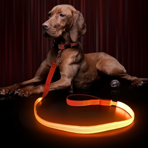 LED Hundeleine für Hunde, Hundeleine Große klein Mittelgroße Hunde mit Gepolstertem, 3 Beleuchtungsmodi Leine Hund, Wasserdicht hundeleinen, Leuchtend Hundeleine, Dog Leash von Kpuplol