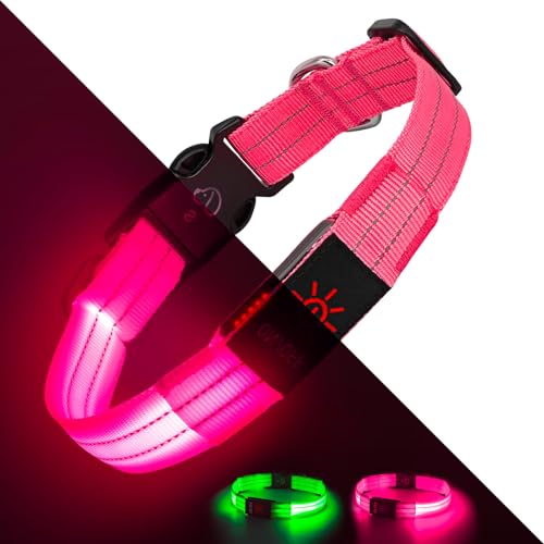 Leuchtende Hundehalsbänder, LED-Hundehalsband, Licht, verstellbar, über USB wiederaufladbar, superhell, Sicherheitslicht, leuchtet im Dunkeln, reflektierendes Hundehalsband für mittelgroße und große von Kpuplol