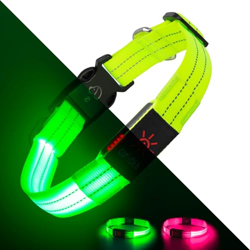 Leuchtende Hundehalsbänder, LED-Hundehalsband, Licht, verstellbar, über USB wiederaufladbar, superhell, Sicherheitslicht, leuchtet im Dunkeln, reflektierendes Hundehalsband für mittelgroße und große von Kpuplol