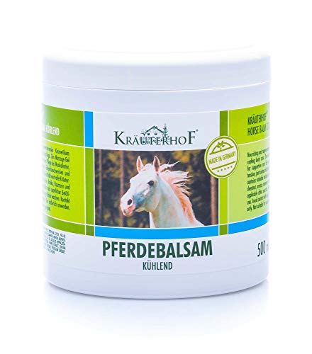 Kräuterhof® Pferdebalsam kühlend (500ml) – kühlendes Massagegel für müde Muskeln & Gelenke mit angenehm kühlender Wirkung, zur Pflege bei Muskelkater, Rückenverspannungen & Gelenkbeschwerden von Kräuterhof