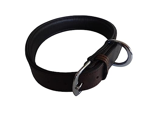 Hunde Halsband aus pflanzlich gegerbten Leder. Polsterung unten Nappaleder (32cm (23,5cm - 28cm)) von Krambambulishop.de