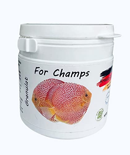 Granulat 100g for Champs von Krause Diskus - Premium Futter für Diskusfische - Discus - Diskusfutter - Diskusgranulat von Krause-Diskus Hamburg