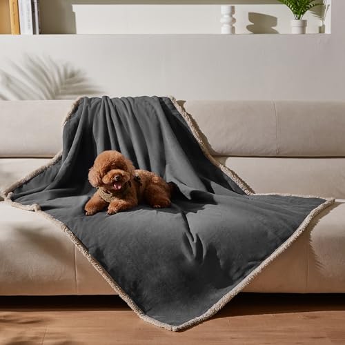 Kritter Planet Hundedecke Wasserdicht, Liebesdecke Sex Decke Wasserdicht, Waschbar Kuscheldecke Sofaschutz Tagesdecke für Sofa Autositz Couch Bett, L 120x150cm Große Decke, Grau/Tuape von Kritter Planet