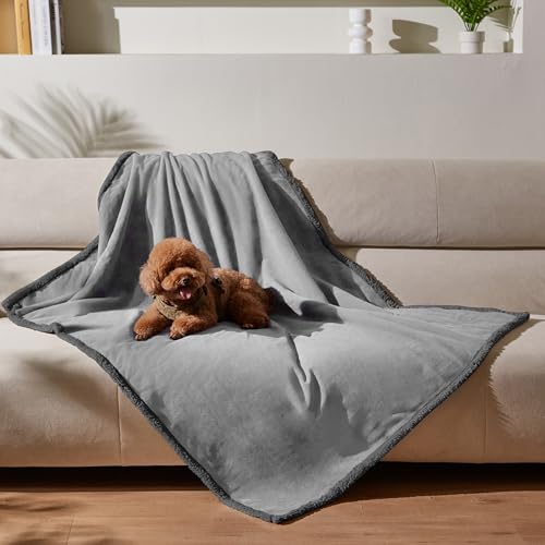 Kritter Planet Hundedecke Wasserdicht, Liebesdecke Sex Decke Wasserdicht, Waschbar Kuscheldecke Sofaschutz Tagesdecke für Sofa Autositz Couch Bett, L 120x150cm Große Decke, Lt Grau/Dk Grau von Kritter Planet