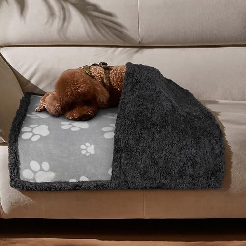 Kritter Planet Hundedecke Wasserdicht, Liebesdecke Sex Decke Wasserdicht, Waschbar Kuscheldecke Sofaschutz Tagesdecke für Sofa Autositz Couch Bett, M 75x125cm Klein Decke, Krallen/Dk Grau von Kritter Planet