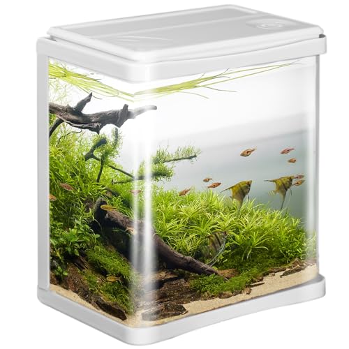 Kruger Meier Arona - Elegantes 3L Aquarium Set in Weiss - Komplettset mit Filter, LED-Beleuchtung und Abdeckung - Ideal für Anfänger, Büro- und Wohnungseinrichtung von Krüger Meier