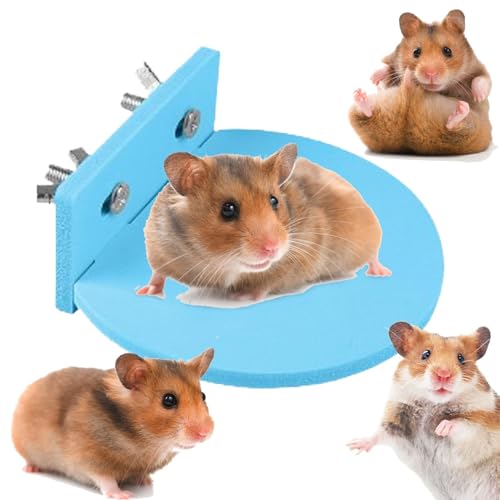 Krujecnt Aktivitätsbrett für Hamster – kleine Tiere, rutschfeste Ruheterrasse, stehend, Klettern, Haustier-Aktivitätsstruktur, platzsparendes Standbrett, Lebensraum, Eichhörnchenkäfig-Zubehör von Krujecnt