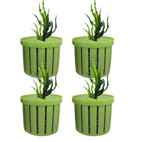 Krujecnt Aquarien Pflanzenbehälter, Stabiler Fischtank Netzbecher Für Pflanzen, Dekorativer Wasserpflanzen Halter, Wasserdékor Für Aquarien In Wohnung, Büro Und Restaurant Krujecnt Aquarien Pflanzenbehälter, Stabiler Fischtank Netzbecher Für Pflanzen, Dekorativer Wasserpflanzen Halter, Wasserdékor Für Aquarien In Wohnung, Büro Und Restaurant von Krujecnt