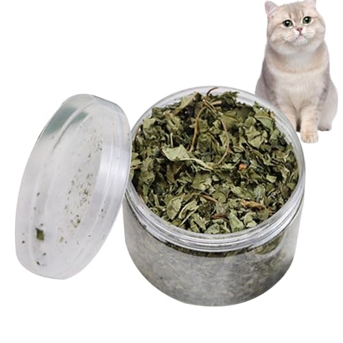 Krujecnt Catmint Katzenspielzeug, 40g Echte Natürliche Katzenminze, Beruhigende Getrocknete Gemahlene Katzenminze Katzensnacks, Katzenminze Blätter Für Katze Mundgesundheit, Katzenminze Zum Entspannen von Krujecnt