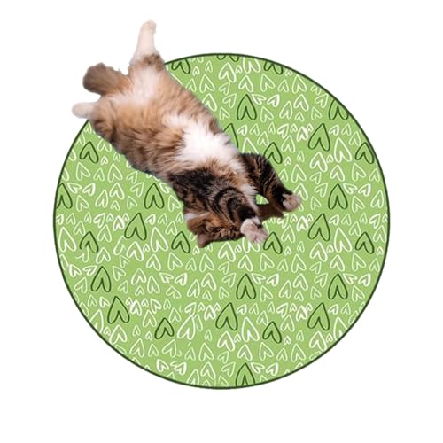 Krujecnt Katzenjagdspielzeug – Interaktives Katzenjagdspielzeug, interaktives Katzenspielzeug, Ball, Versteckabdeckung, Suchball-Fangspiel für Indoor-Katzen, Hunde, Welpen, Haustierliebhaber von Krujecnt