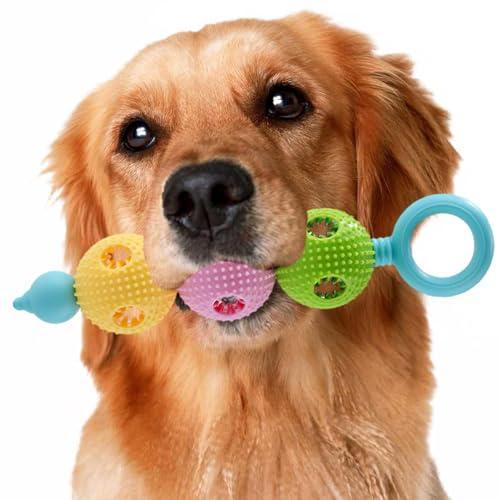 Krujecnt Kauspielzeug für Hunde, Kürbis, Molaren, saubere Zähne, Gummispielzeug - Unzerstörbares Hundespielzeug in Kürbisform mit Widerhaken aus TPR-Gummi - Interaktives Hundespielzeug in natürlicher von Krujecnt