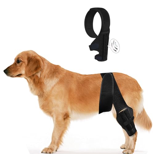 Kniebandage Hund, Hundebeinstützen mit Verstellbare Klett, Hund Hinterbein Bandage mit 2 Metall Federstabilisatoren, Hunde Ellenbogenbandage Protektor (L) von Kuabiz