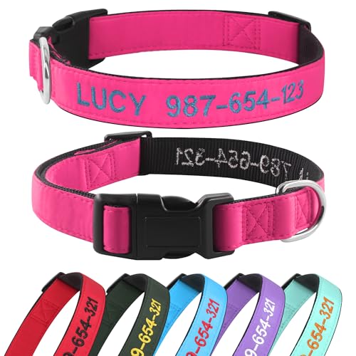 Kuley Personalisiertes Hundehalsband, personalisierbar, mit Namen und Telefonnummer bestickt, für XS, kleine, mittelgroße und große Hunde (Rosa) von Kuley