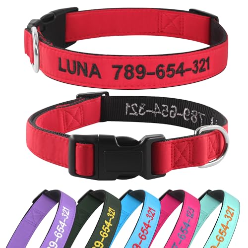 Kuley Personalisiertes Hundehalsband, personalisierbar, mit Namen und Telefonnummer bestickt, für XS, kleine, mittelgroße und große Hunde (rot) von Kuley