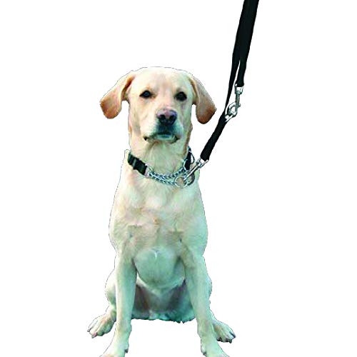 Kumfi Canine Kumfi Complete Control Lead L von Kumfi Canine