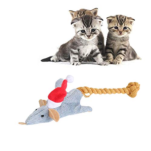 Cat Toy Katzenspielzeug Katzenangel Katzenspielzeug Fisch Katzen Spielzeug Cat Treat Spielzeug Interaktives Katzenspielzeug Kätzchen-Spielwaren Für Innenkatzen Katzenfeder Spielzeug von KunLS