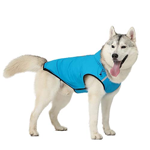 Hunde Regenjacke Regenmantel Hund Hundemantel Wasserdicht Regenjacke Hund Dog Raincoat Haustier Regenmantel Hund Voller Regenmantel Hund Regenmantel Mit Kapuze Blue,2XL von KunLS