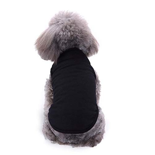 Hundebekleidung Hunde Jacken Hundemantel Für Kleine Hundemantel Grosse Hunde Welpenkleidung Katze Kleidung Haustiere Hundemäntel Für Den Sommer Haustier-Kleidung Black 1,L von KunLS